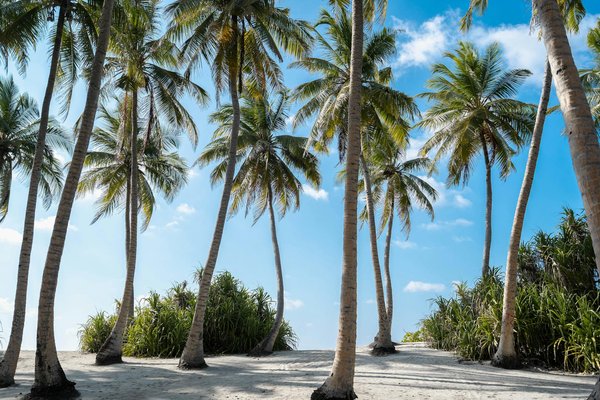 Exploring History: Best Exclusive Guided Tours of Britain's Coastal Fortresses